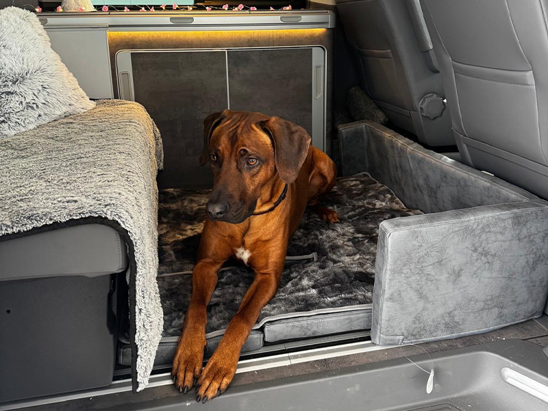 Sonderanfertigung kuschelig in Grau für Wohnmobile